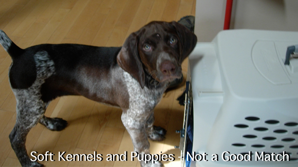soft kennel and puppy